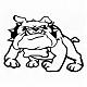 gabulldog's Avatar