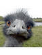 mitrisin's Avatar
