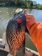 cutbait's Avatar
