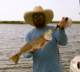 deltabound's Avatar