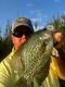 arkcrappie's Avatar
