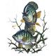 ifish4redd's Avatar