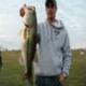 probucktails's Avatar