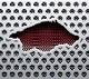 RazorbackTC's Avatar