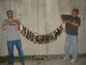 Pan Fish's Avatar