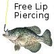 Marcus Crappie MD's Avatar
