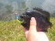 fishinbeatsworkin's Avatar