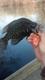 Garrett Purvis's Avatar