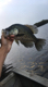 crawfisherman's Avatar