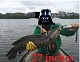 c18's Avatar