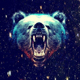 GalaxyBearZ's Avatar
