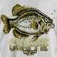 Big Crappie 2's Avatar