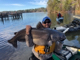 Pond_Pounder's Avatar