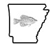AR_Crappiefishr's Avatar