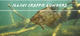 Illini Crappie's Avatar