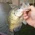 GoFish88's Avatar