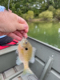 Little Jon Boat's Avatar
