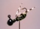 fowlmood77's Avatar