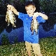 Dustin Hughes's Avatar