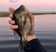 Fishfishwish's Avatar