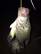 Fishercounty's Avatar