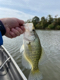 CreekTracker's Avatar