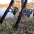 TheReelOutdoors's Avatar