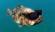parishioner's Avatar