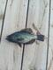 Happyfisherman's Avatar