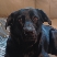 MackB's Avatar