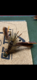 Senti_fishing's Avatar