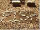 H/H spinner's Avatar