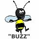 Buzz's Avatar