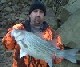 striper1200's Avatar
