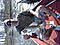 Bowhunter2's Avatar