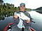 Anchor Man's Avatar