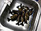 njones's Avatar