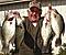Reelfoot Legend's Avatar