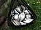 Bowbender's Avatar