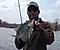 GONFISHN's Avatar