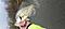 Bigace's Avatar