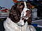 flyfisherman_53's Avatar