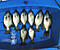 Sugarfoot_Salzer's Avatar