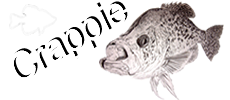 Crappie.com - America's Friendliest Crappie Fishing Community - Crappie Fishing Information and More